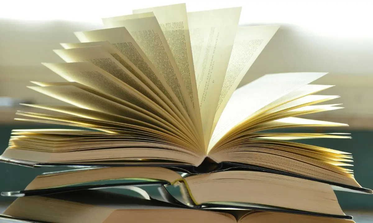 Una serie de libros. / Pexels.
