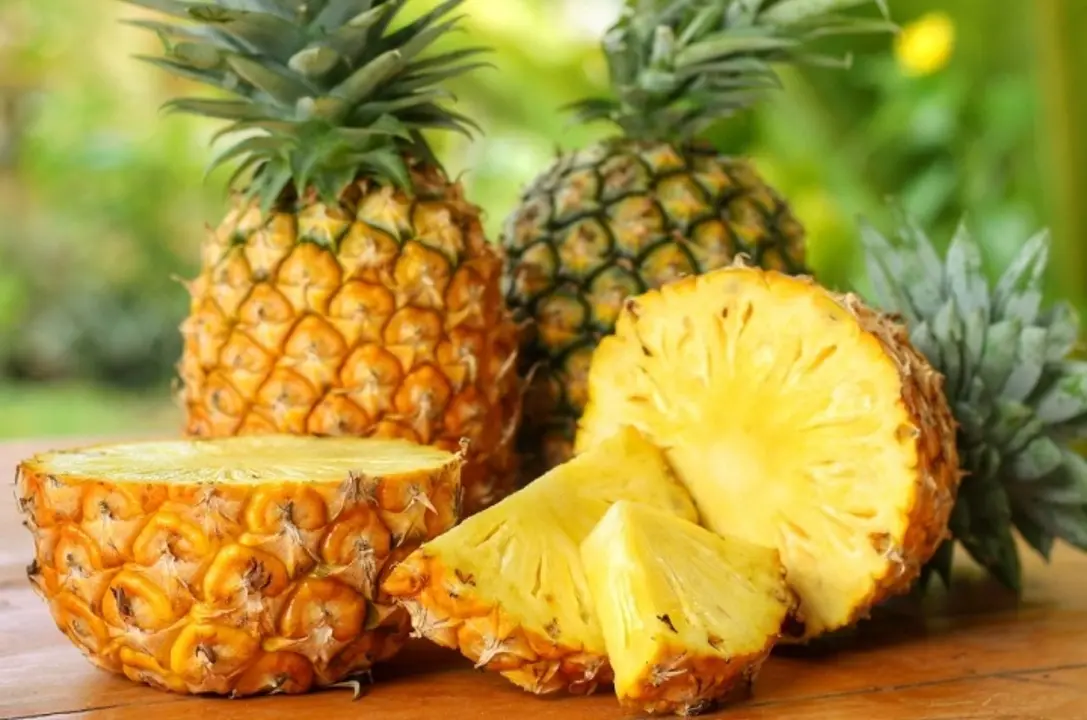 Pi&ntilde;a. / RR SS.