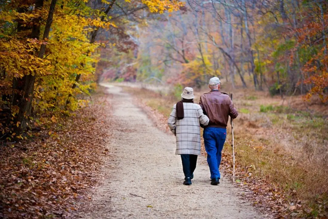 Una pareja de ancianos. / Pixabay.