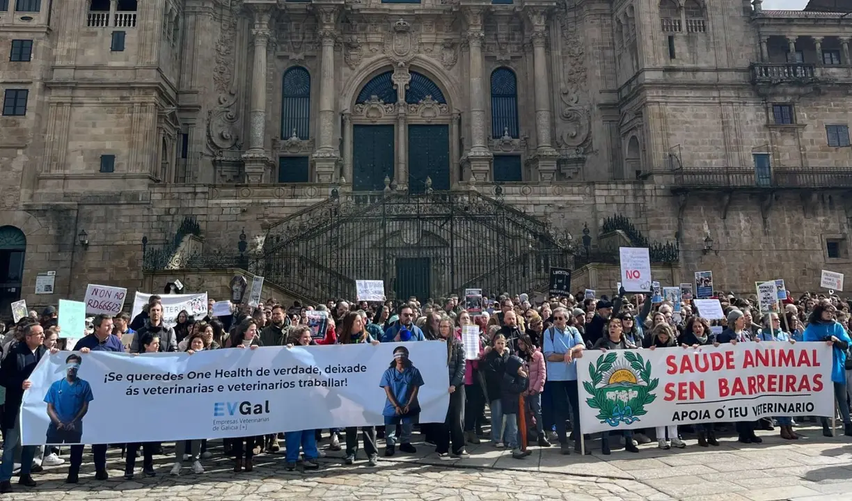 Manifestaci&oacute;n de los veterinarios en Santiago de Compostela. / A.S.