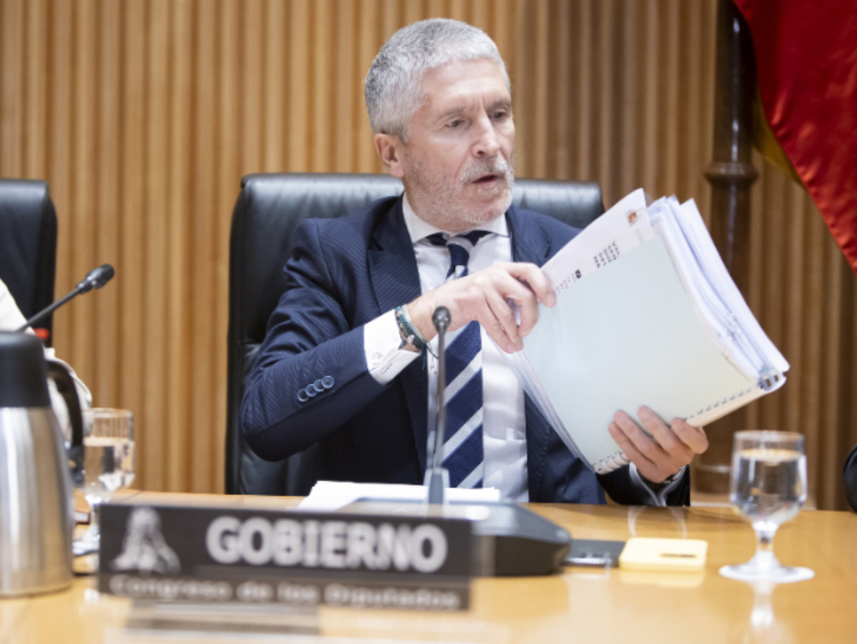 Fernando Grande-Marlaska, ministro de Interior. / Congreso de los Diputados