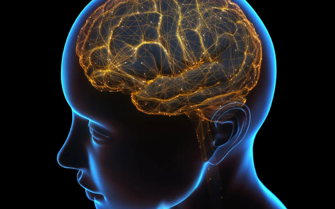 Estimulos cerebrales. / RR SS.