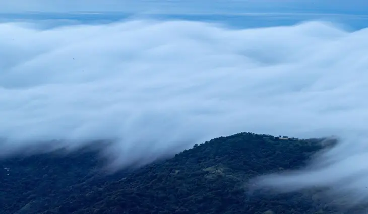 La crisis clim&aacute;tica est&aacute; alterando el ritmo de los vientos que nos gobiernan. / Sebasti&aacute;n di Domenico