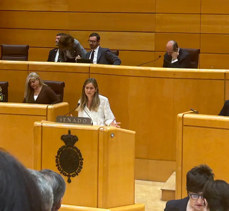 La vicepresidenta tercera y ministra para la Transici&oacute;n Ecol&oacute;gica y el Reto Demogr&aacute;fico, Sara Aagesen, este mi&eacute;rcoles en el Senado. / X.
