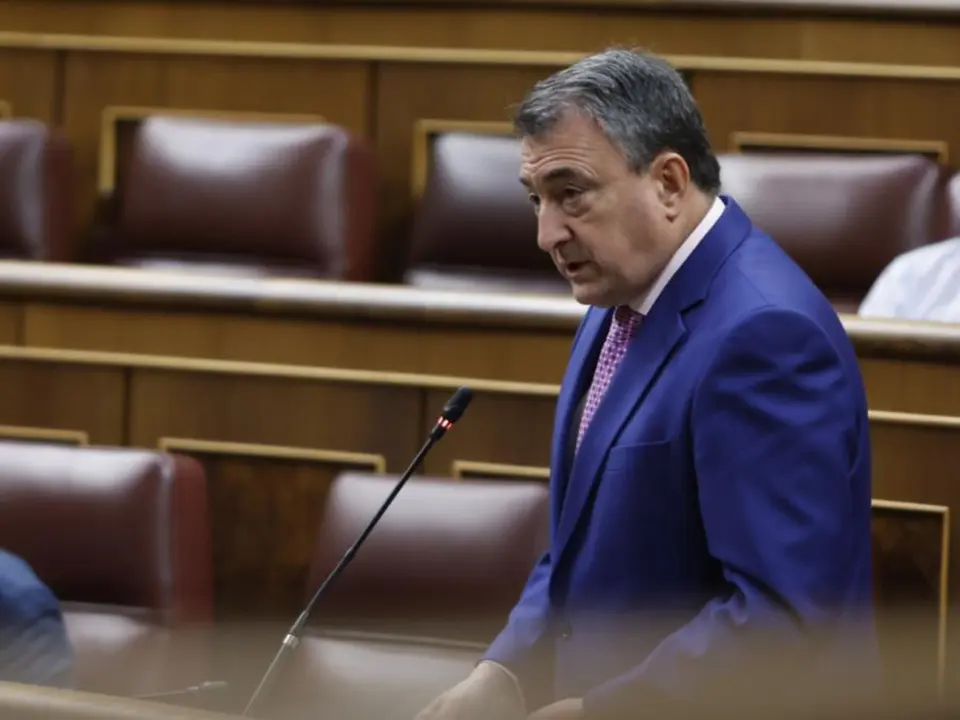 Aitor Esteban, presidente del PNV. / Congreso