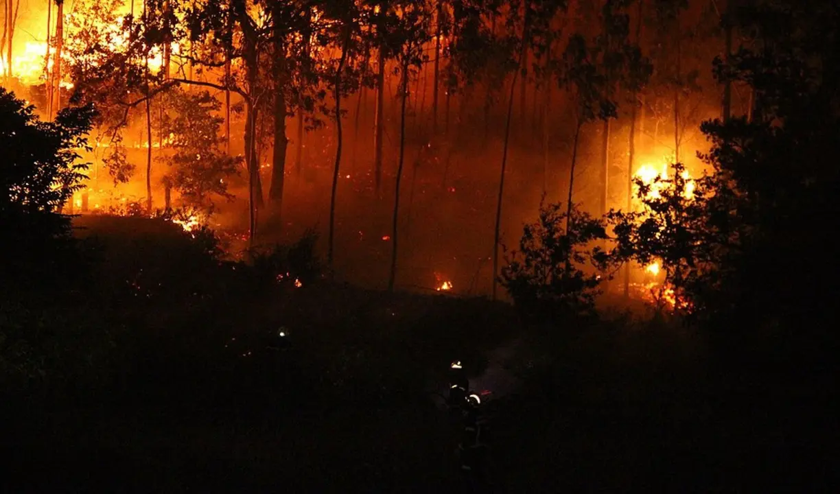 Incendio forestal. / @interiorgob.