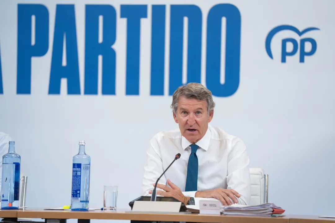Alberto N&uacute;&ntilde;ez Feij&oacute;o, presidente del PP. / Partido Popular.