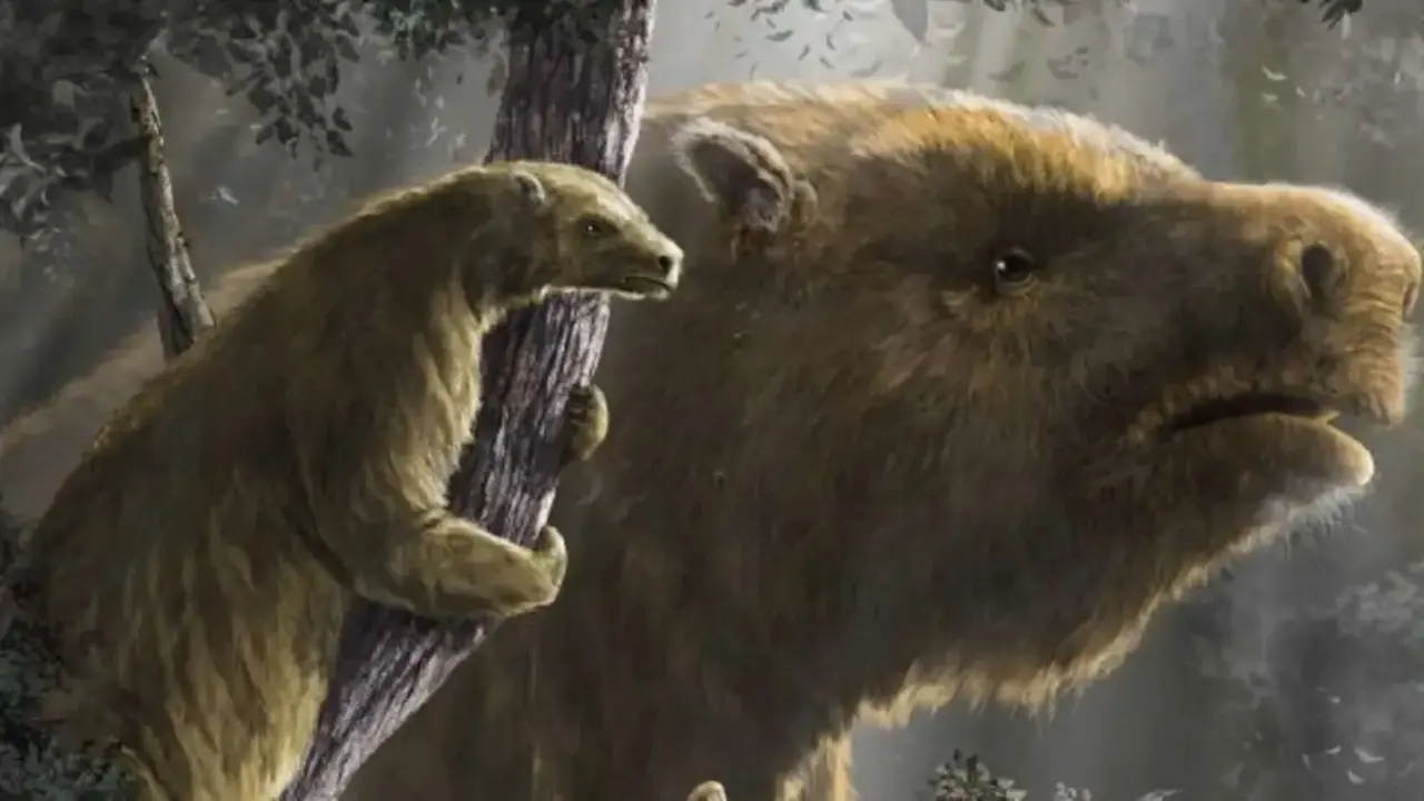 Perezoso gigante (Megatherium). / Diego Barletta - CONICET
