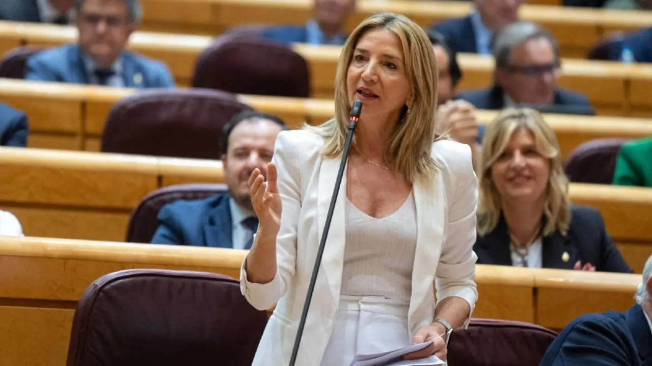 La portavoz del PP en el Senado, Alicia Garc&iacute;a. / RR SS