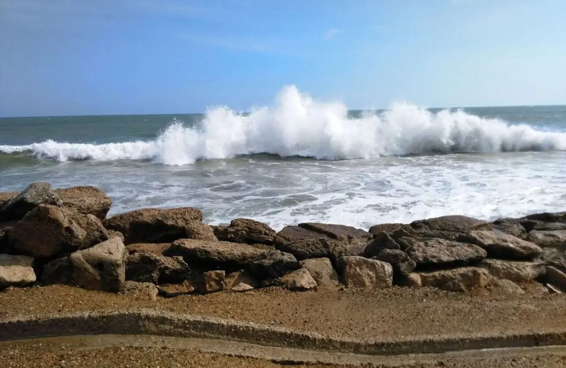 Olas. / RR. SS.