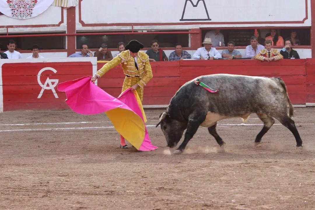 Un torero. / Pixabay.
