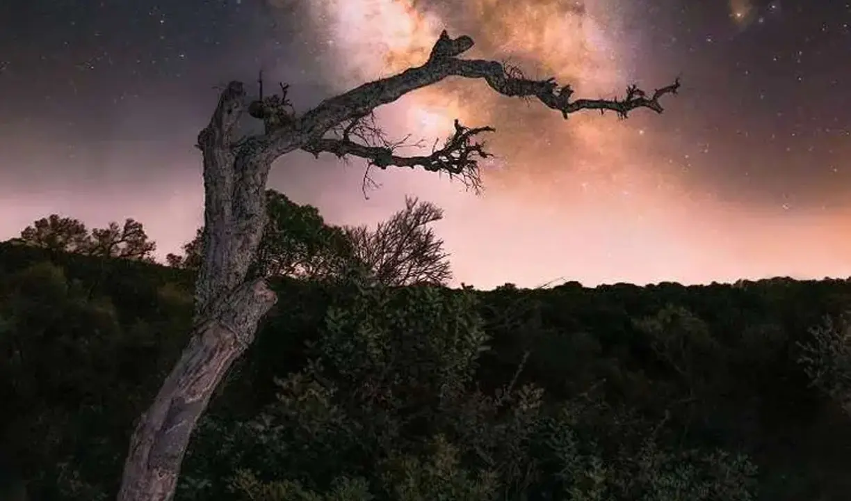 V&iacute;a L&aacute;ctea desde un cielo decente (Alcal&aacute; de los Gazules). / SebasFL