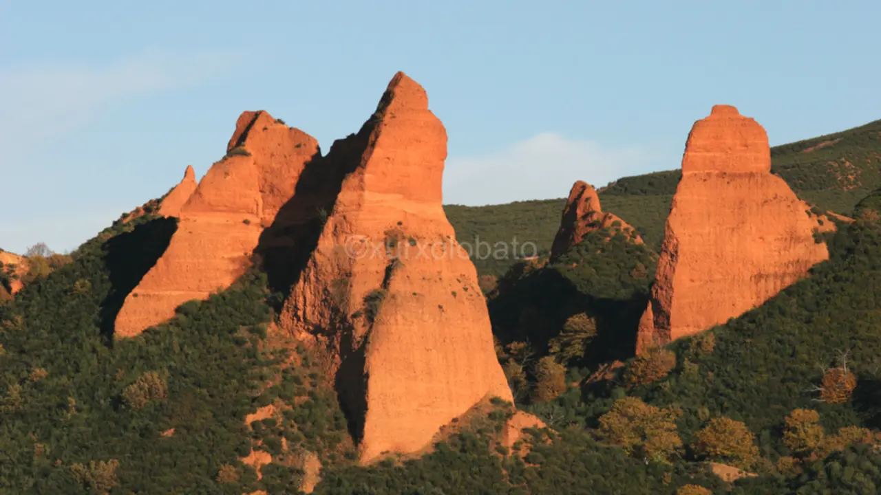 Las M&eacute;dulas