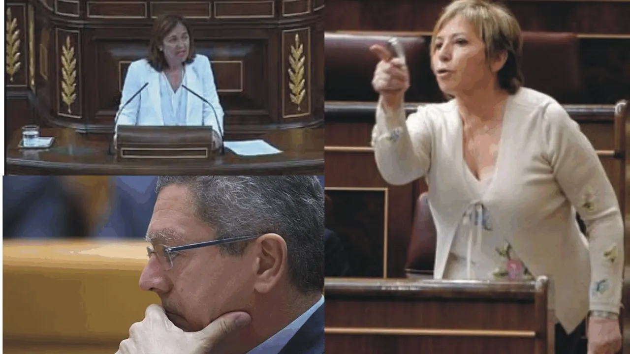 Los populares Gallard&oacute;n, Beatriz Escudero y Celia Villalobos discreparon en la reforma de la ley del aborto.