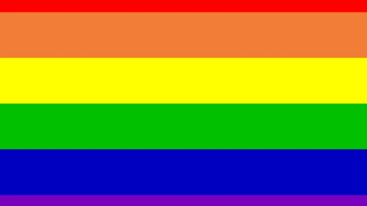 La bandera gay o bandera de arco iris ha sido tambi&eacute;n denominada bandera de la libertad.
