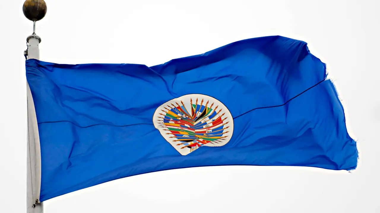Bandera de la OEA.