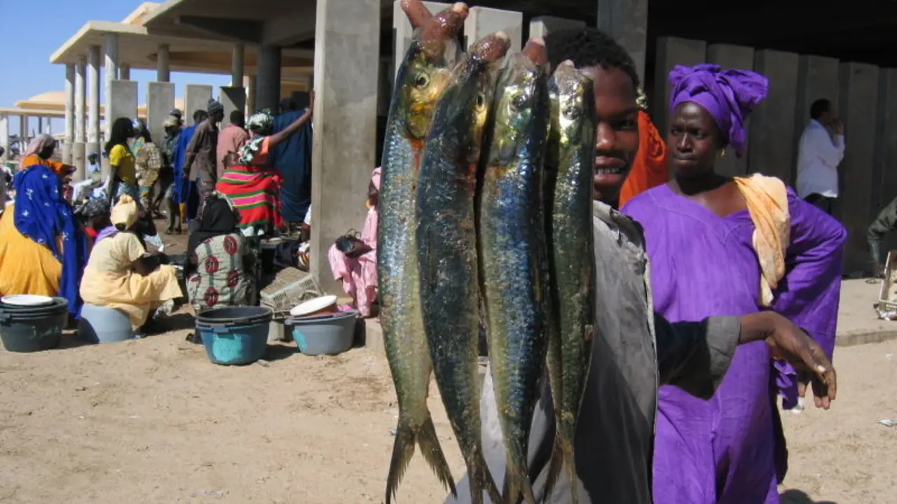  Mercado de pescado en Nouakchott, en Mauritania.