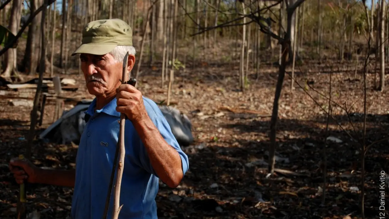 Documental cubano Madera, de Daniel Kvitko, participa en el 22 Festival de Biarritz, Francia, 2013
