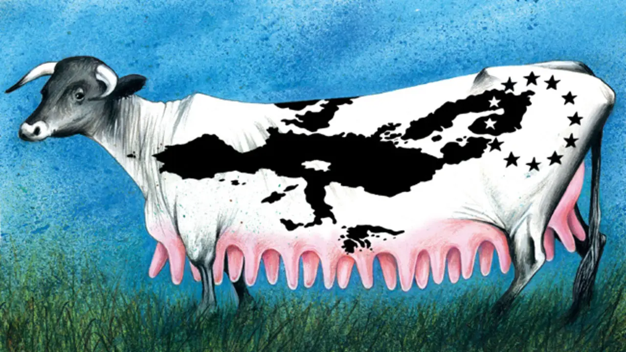 Vaca europea. / Antonio Antunes
