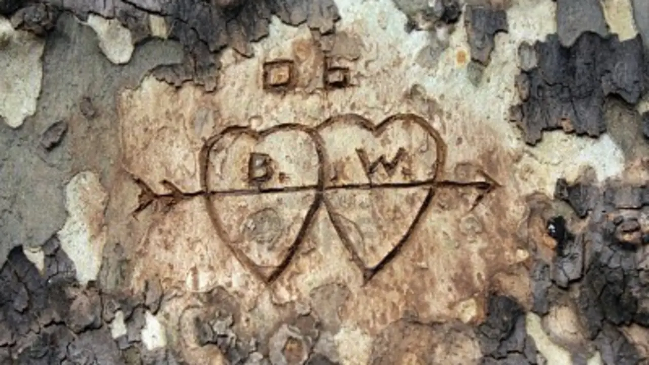 corazon arbol