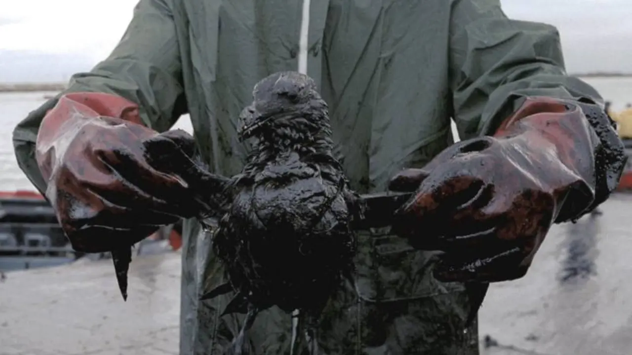 Imagen de Greenpeace de la cat&aacute;strofe del Prestige. / Pedro Armes