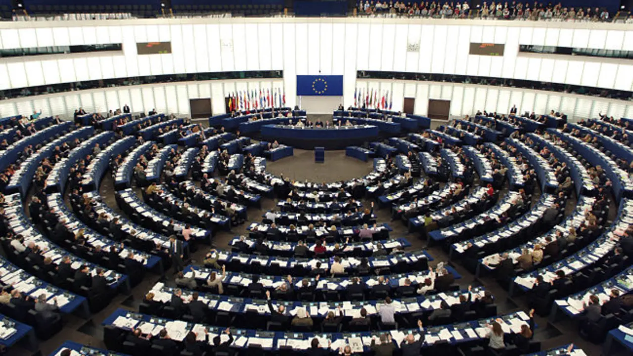Parlamento europeo. / P.E.