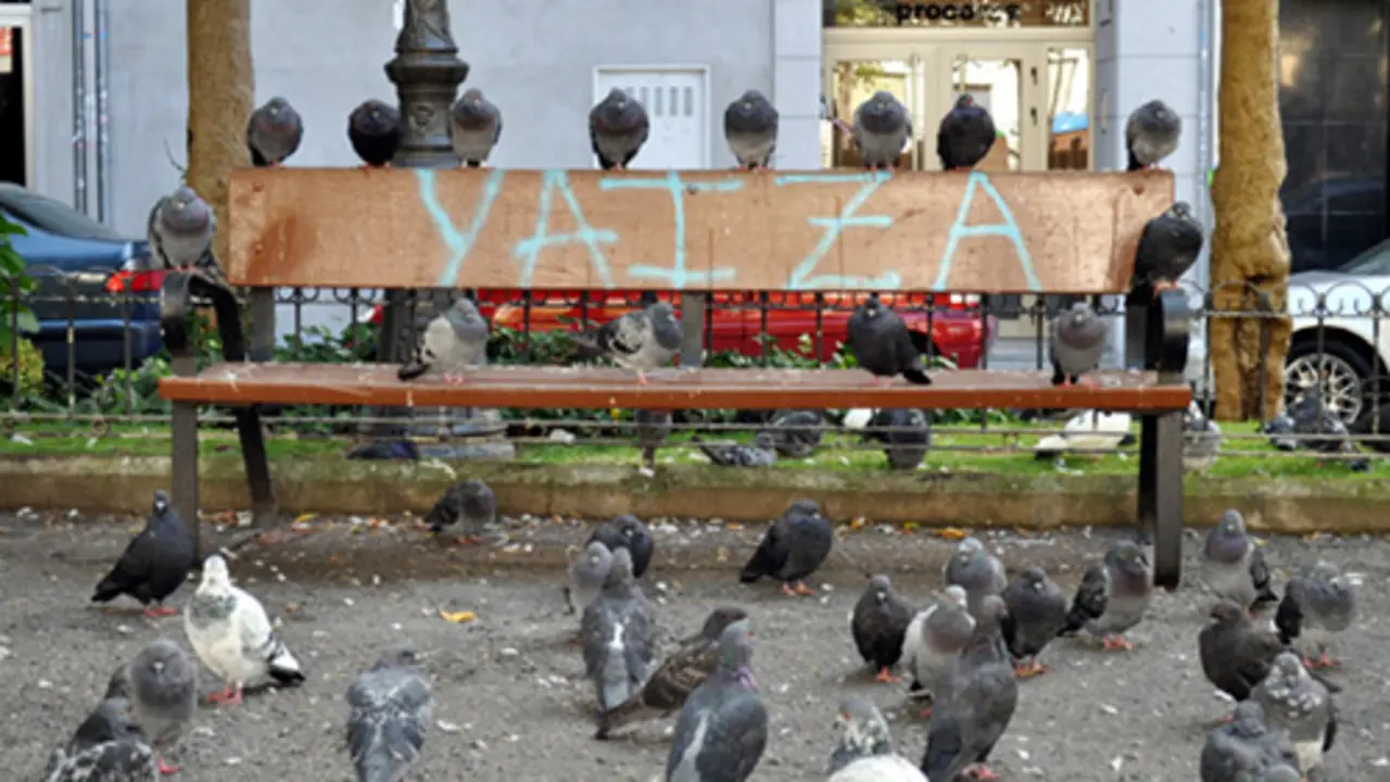 Los p&aacute;jaros de Alfred  Hitchcock - foto Francisco Pu&ntilde;al Su&aacute;rez