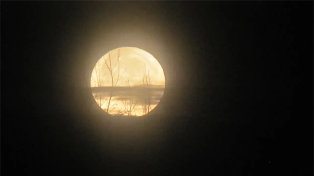 Sue&ntilde;os.