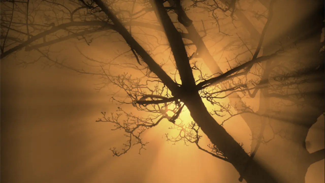 Sombra y luz.
