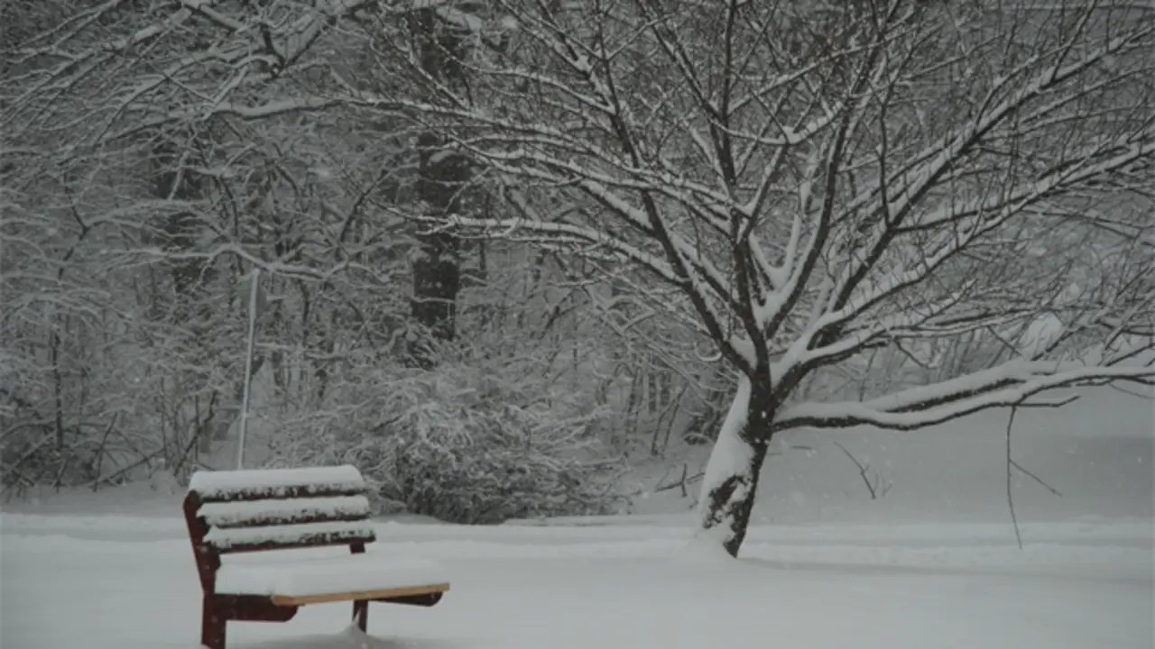 El invierno de la soledad.