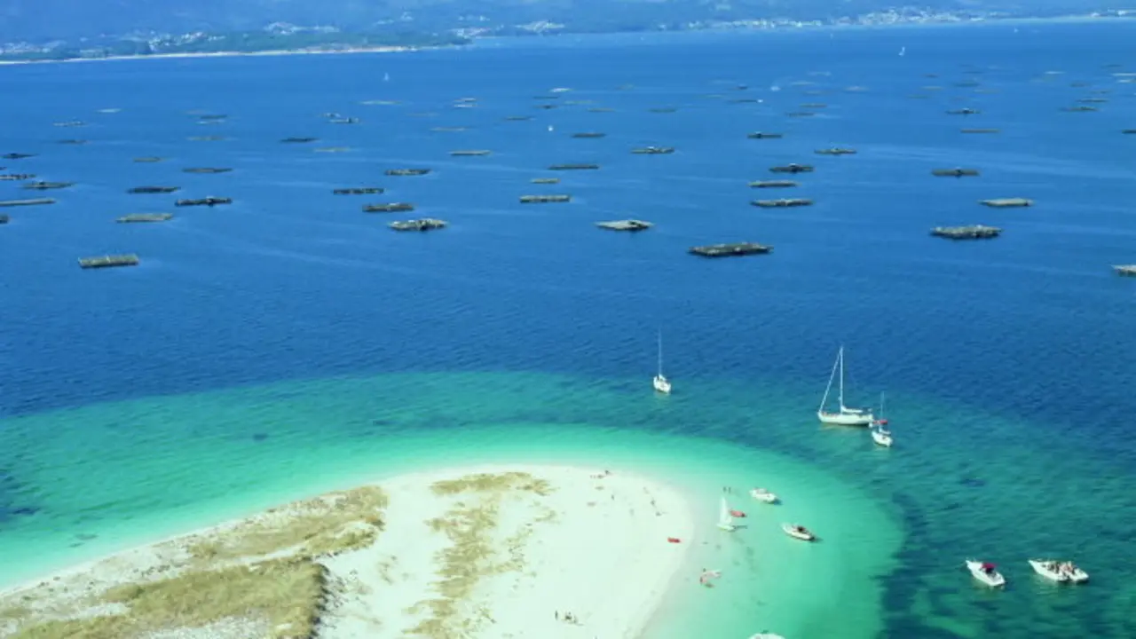 Bateas en la r&iacute;a de Arousa. / Turgalicia