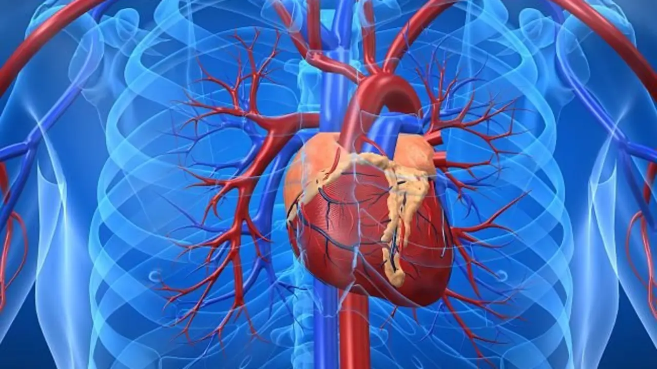 El coste de las enfermedades cardiovasculares agrava el actual modelo sanitario