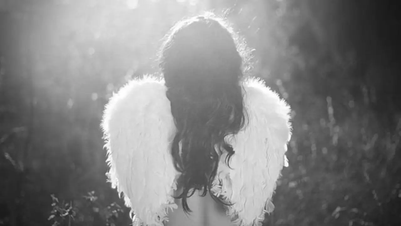 Alas sin abrir.