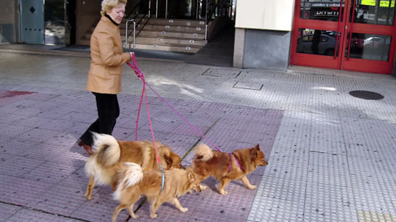 De paseo matinal - Francisco Pu&ntilde;al