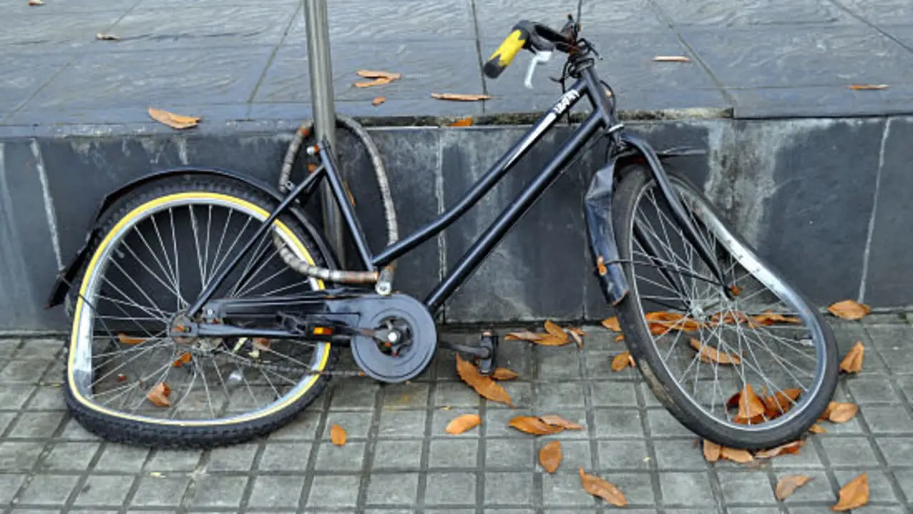 Bicicleta maltratada, golpeada y abandonada - Francisco Pu&ntilde;al