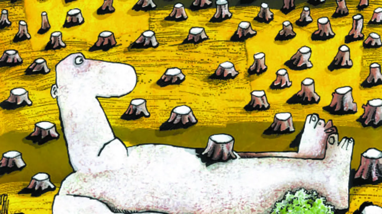 Dibujo de Tom&aacute;s Rodr&iacute;guez (Tomy)  - Premio  Curuxa Gr&aacute;fica 2001
