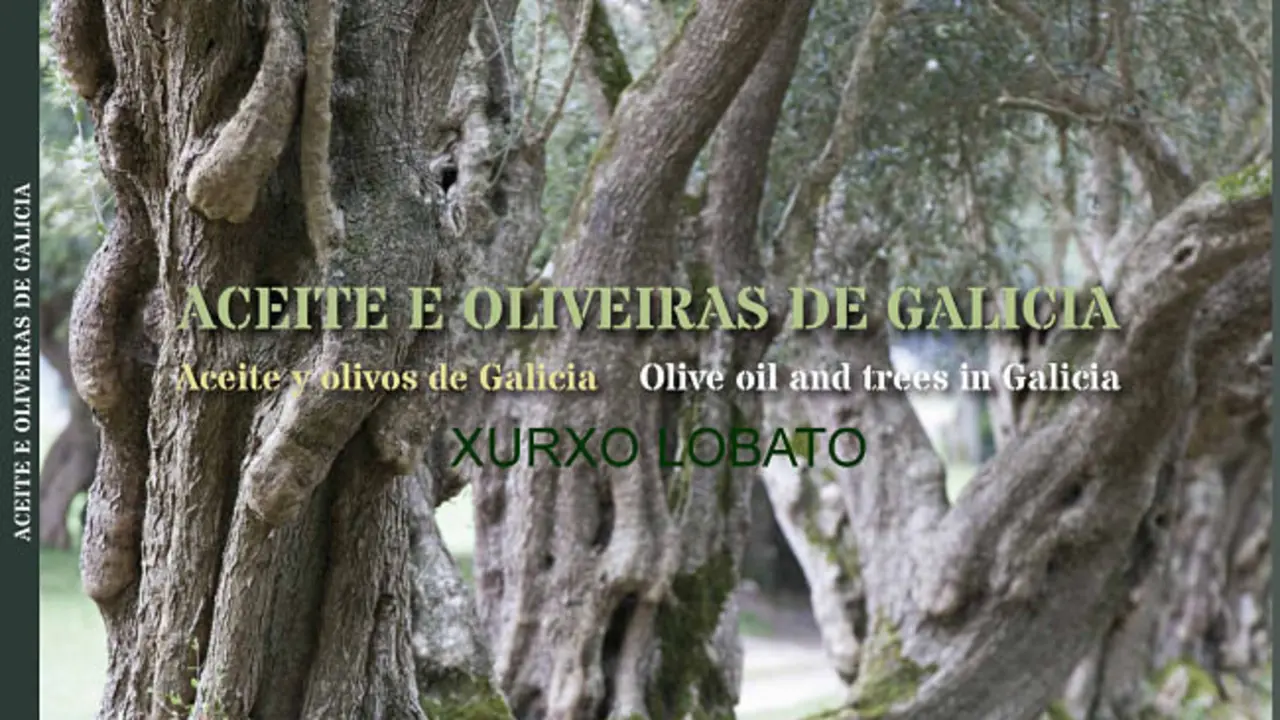 Portada del libro Aceite y olivas de Galicia. / Xurxo Lobato