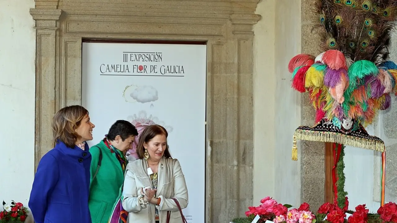  III Exposici&oacute;n de la Camelia Flor de Galicia. / Luis  Polo