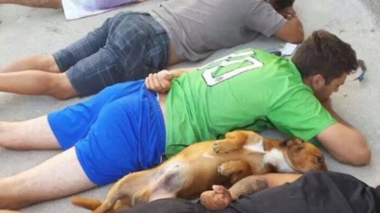 Un perro se rinde junto a unos sospechosos.