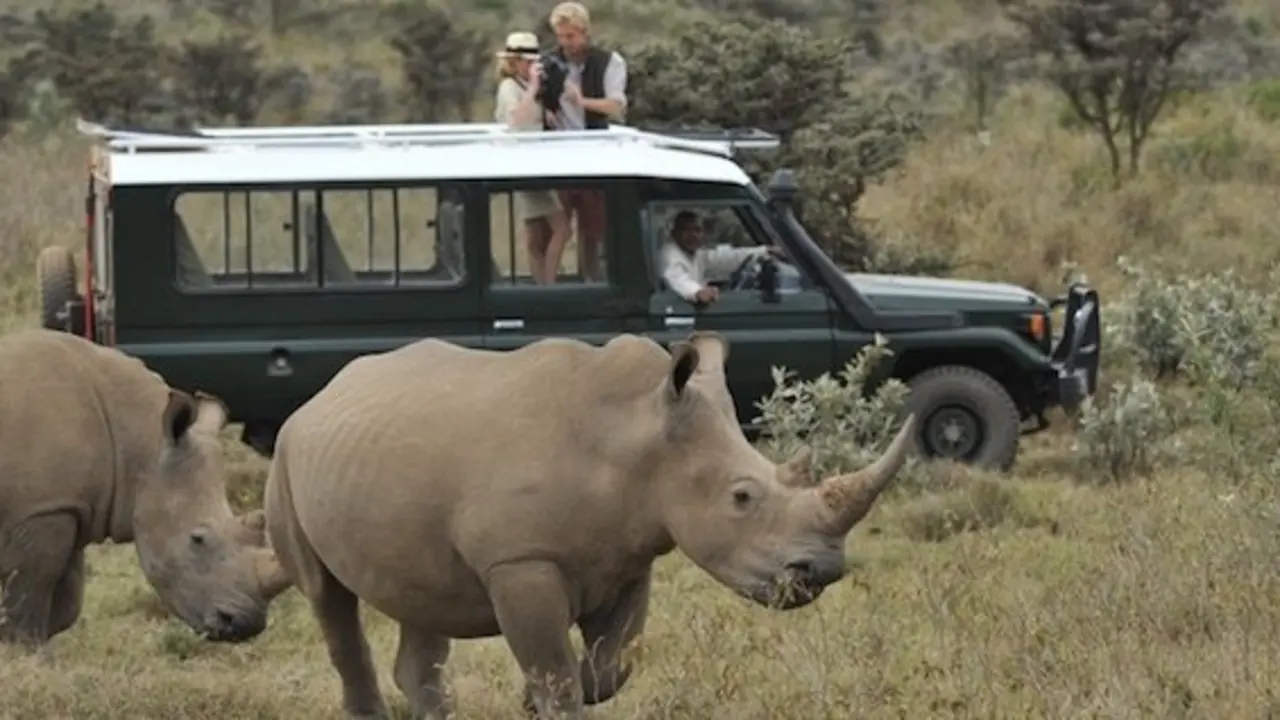 Pareja en un safari.