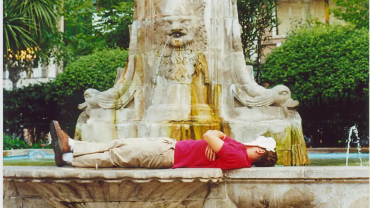 Siesta en la fuente - Francisco Pu&ntilde;al