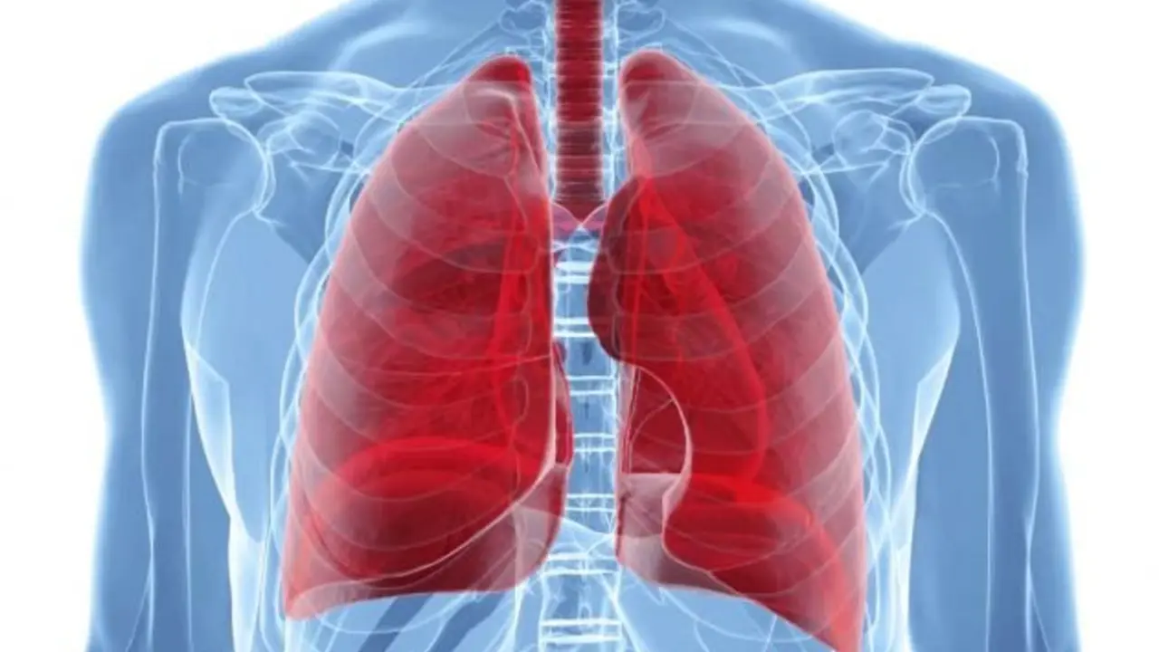 Pulmones. / RR SS