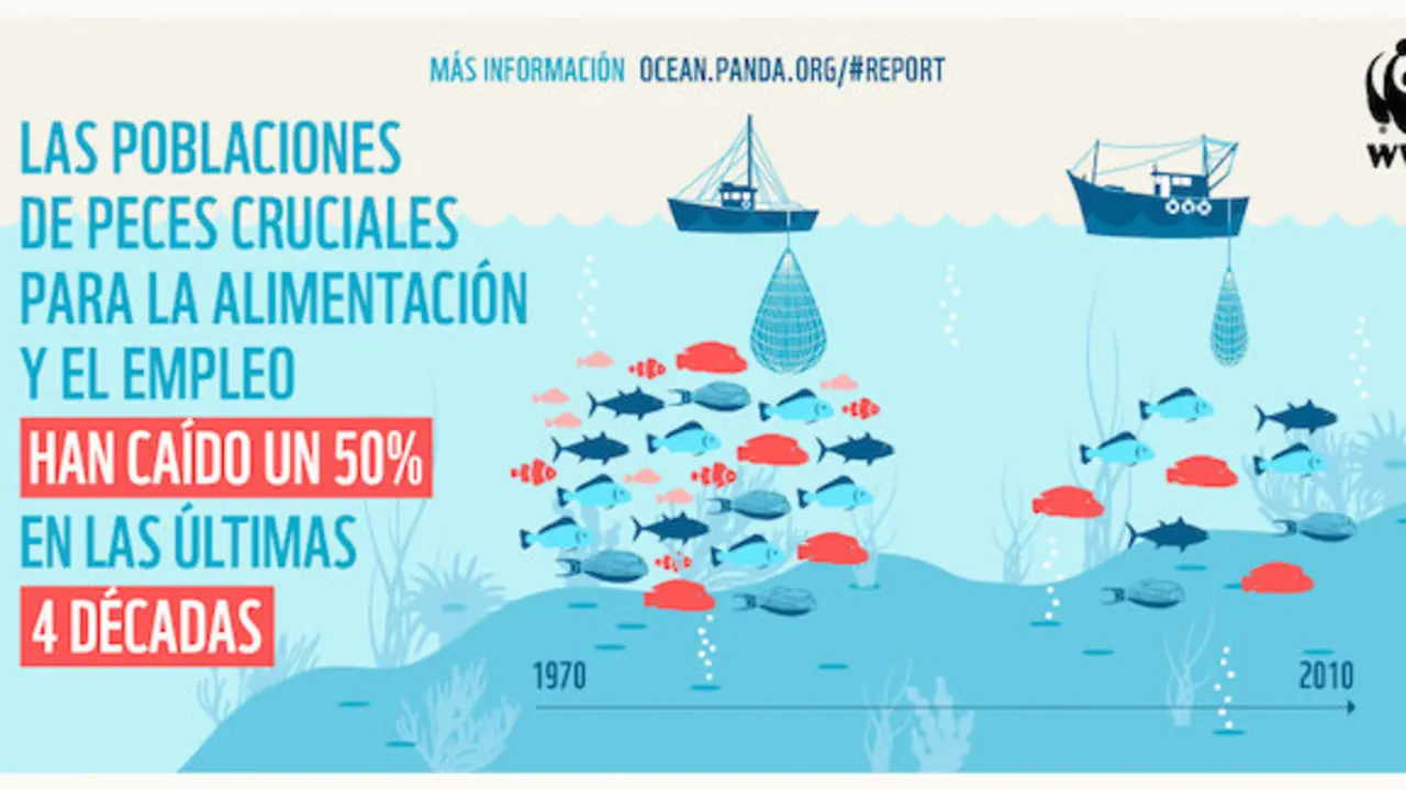 Situaci&oacute;n de las pesqueras. / WWF