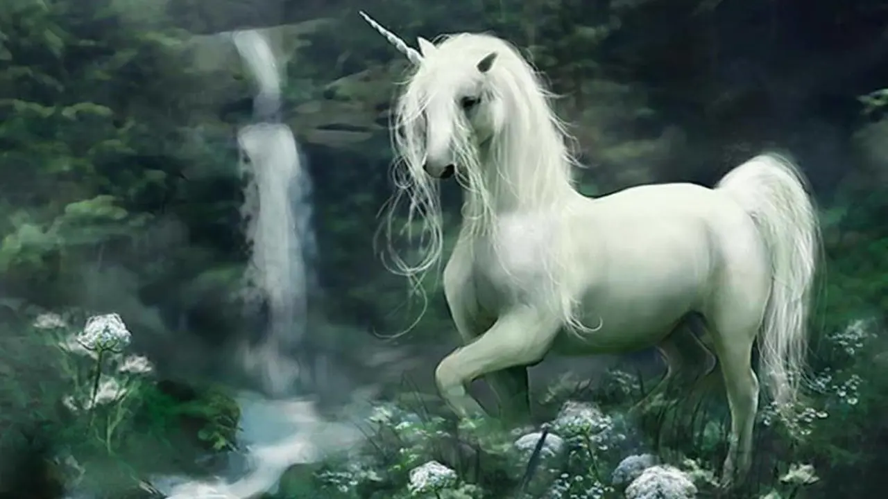 Unicornio.