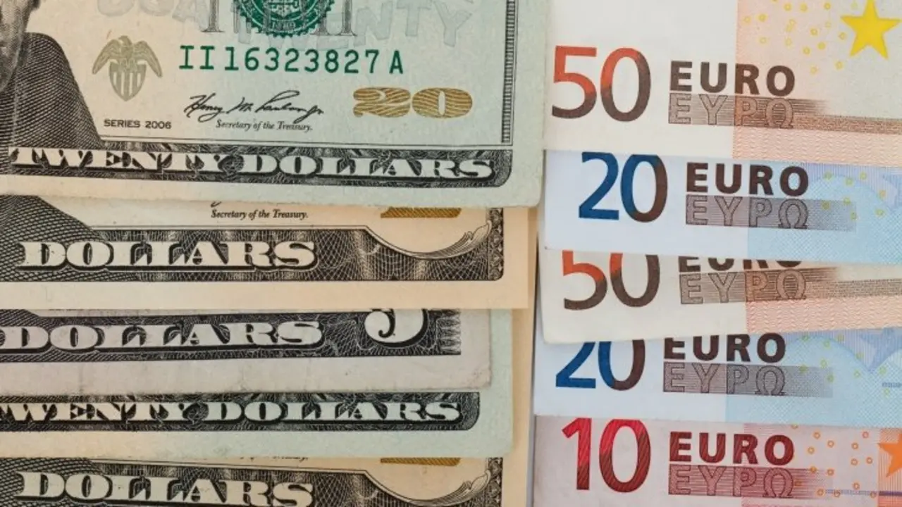 D&oacute;lares y euros en billetes. /
