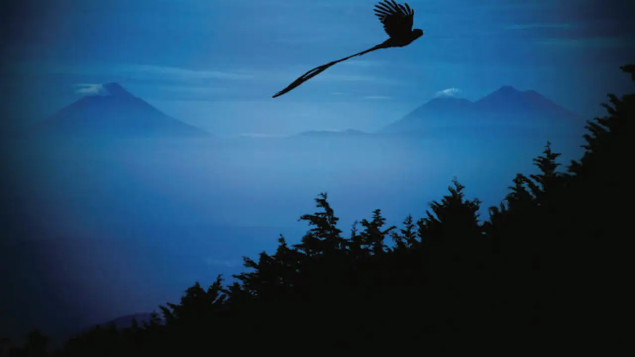 Fotografía de la publicidad &lsquo;Perhaps you need a Little Guatemala&rsquo;. / Ricky López