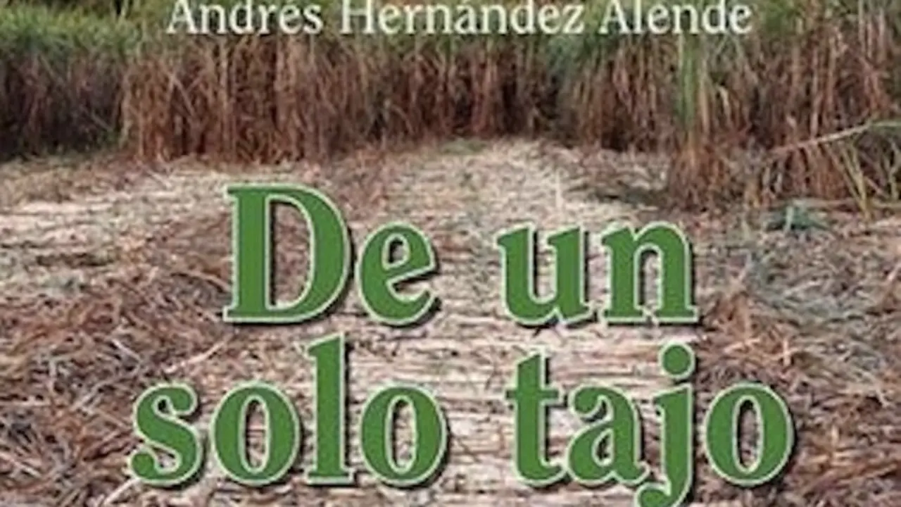 Detalle portada De un solo tajo.