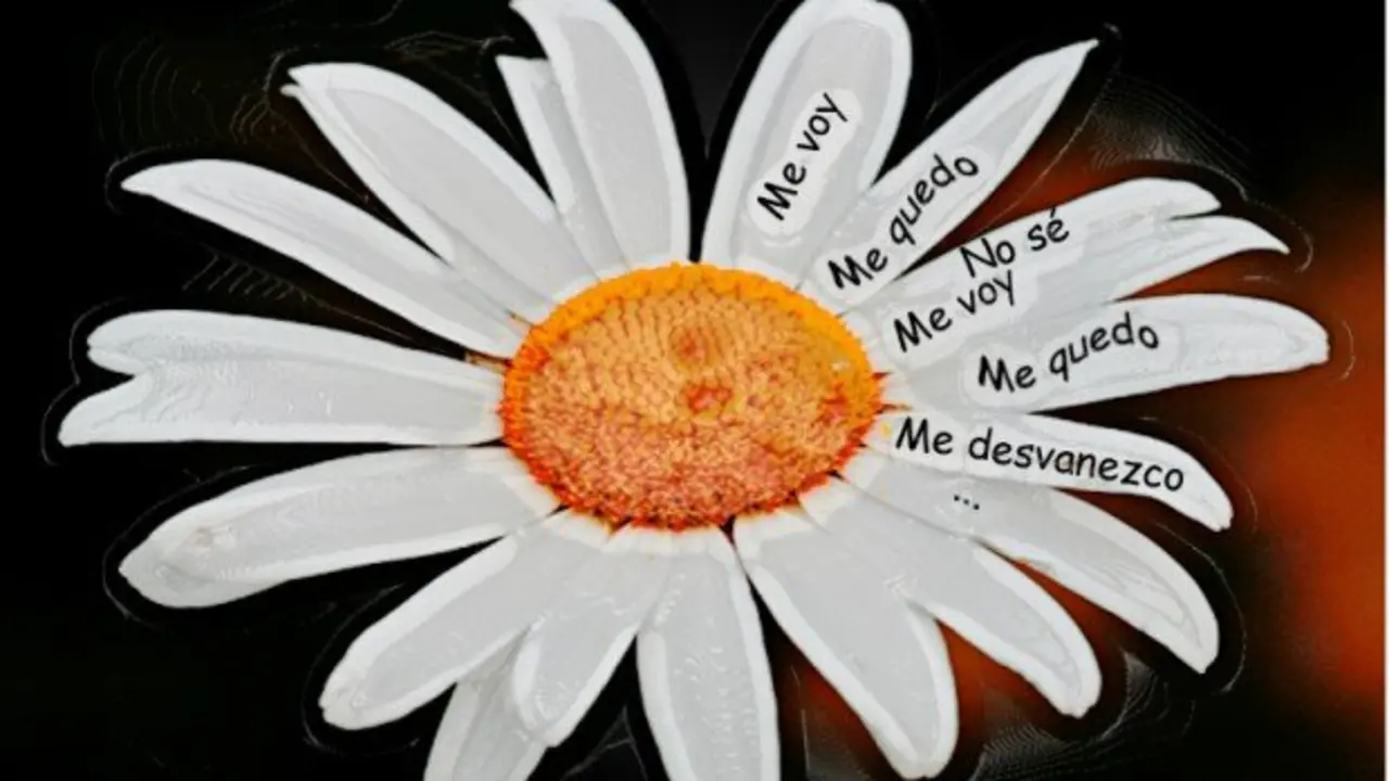 Deshojando-la-margarita-2-620x350