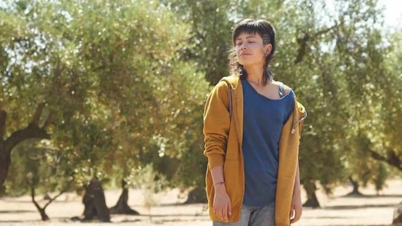 Clip de El Olivo.