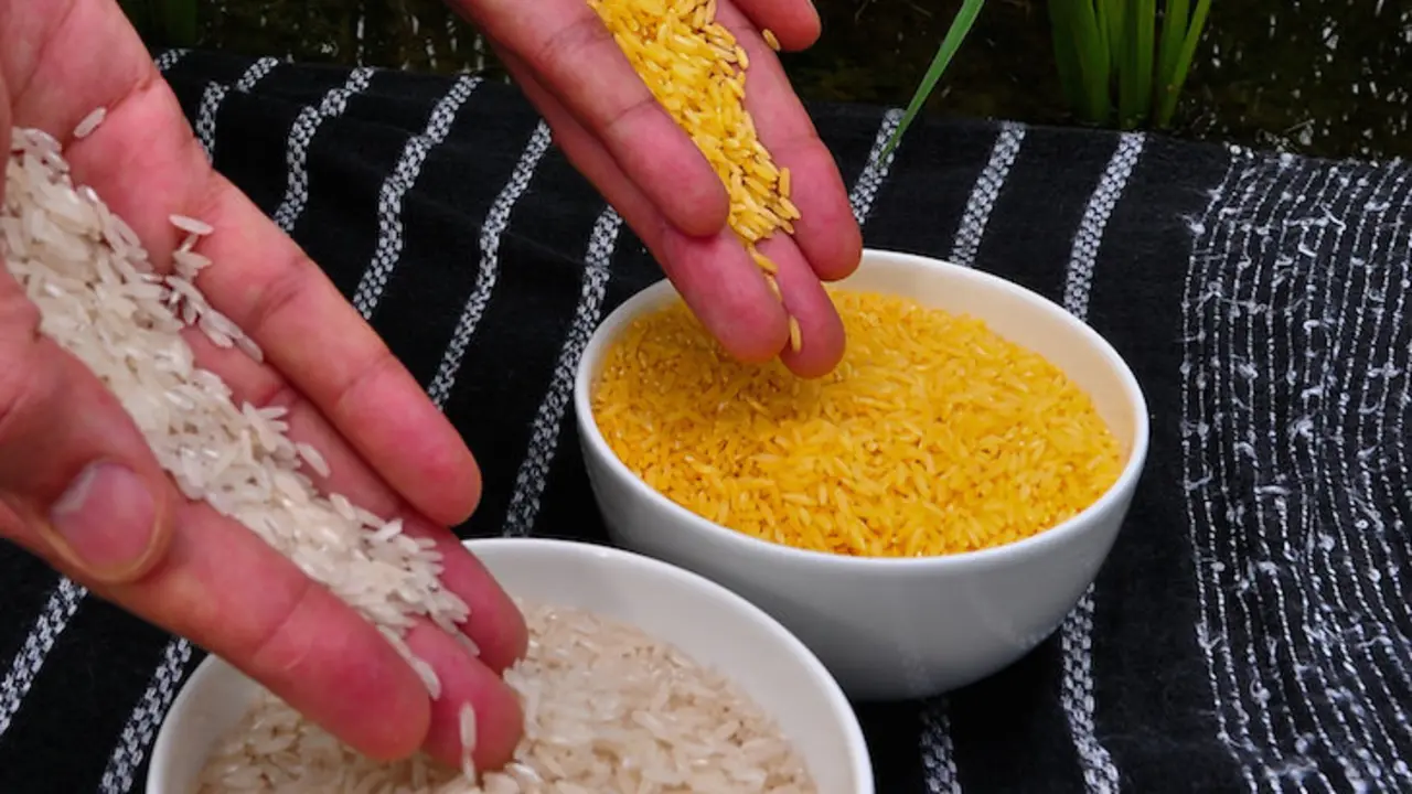 Arroz dorado. / RRSS.